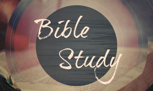 Bible Studies for Fall 2024